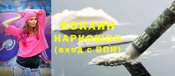 бошки Алексин