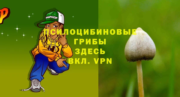 бошки Алексин