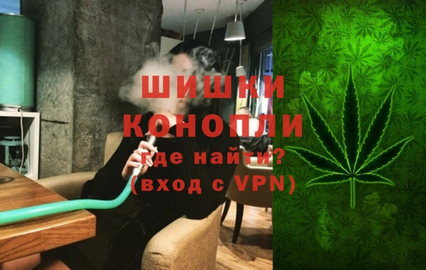 гидра Алексеевка